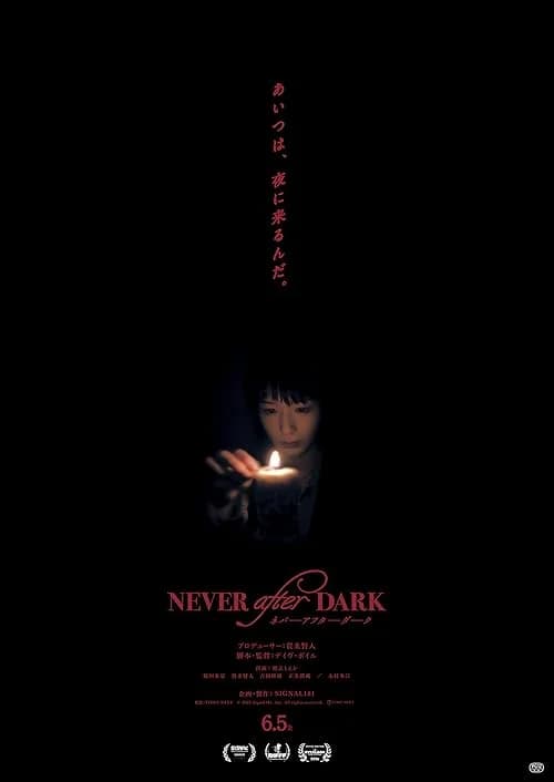 Never After Dark film posteri